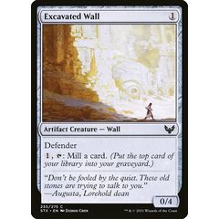 Excavated Wall