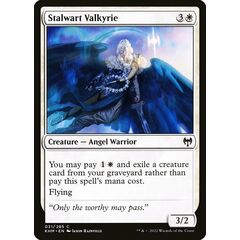 Stalwart Valkyrie