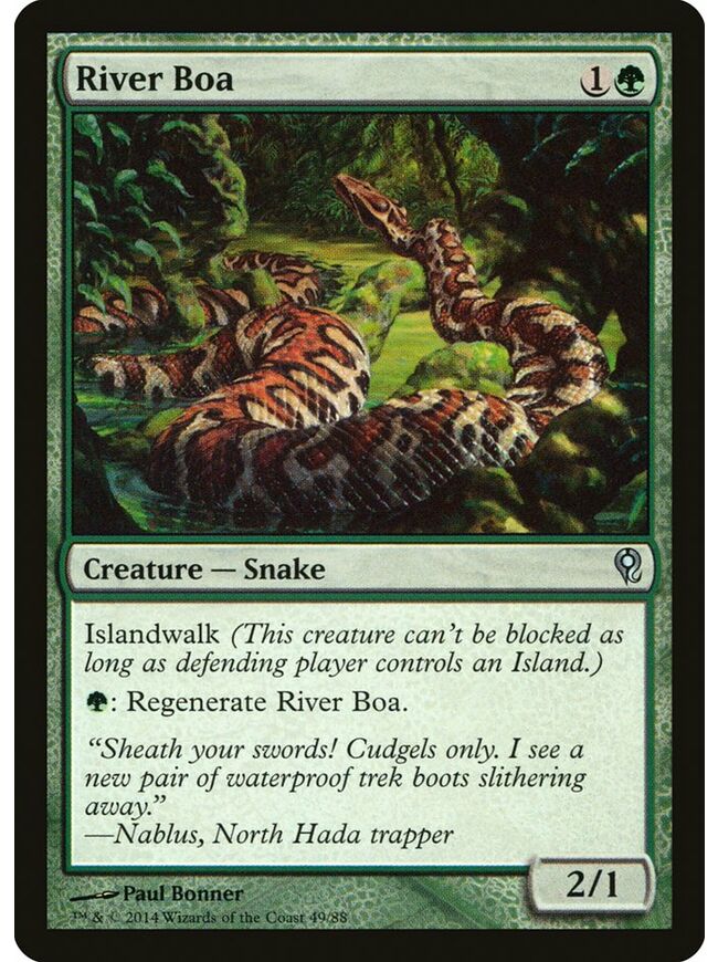 River Boa