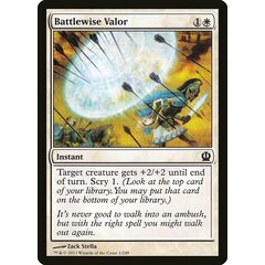 Battlewise Valor