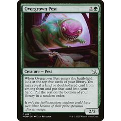 Overgrown Pest