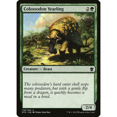 Colossodon Yearling