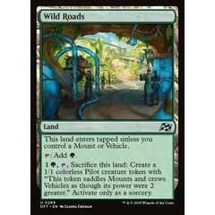 Wild Roads