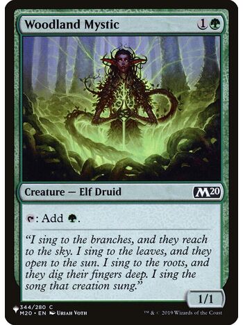 Woodland Mystic