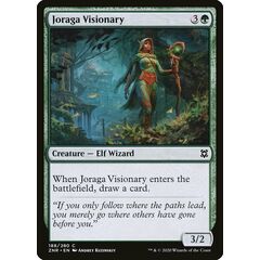 Joraga Visionary