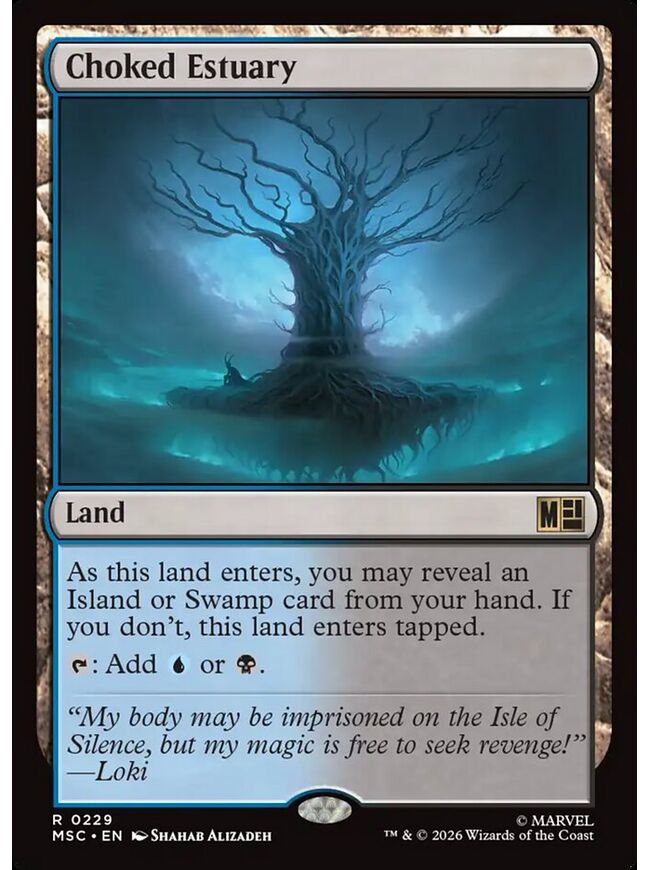 Choked Estuary