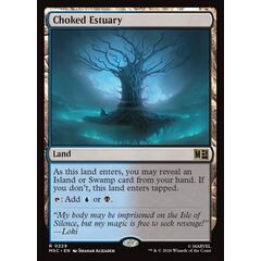 Choked Estuary