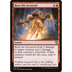 Burn the Accursed