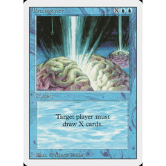 Braingeyser