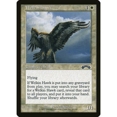 Welkin Hawk