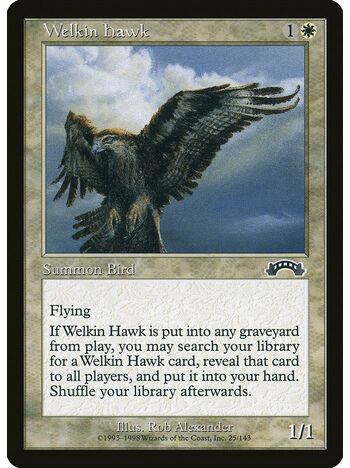Welkin Hawk