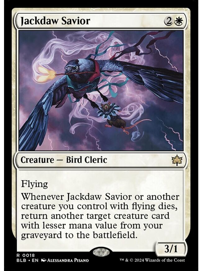 Jackdaw Savior