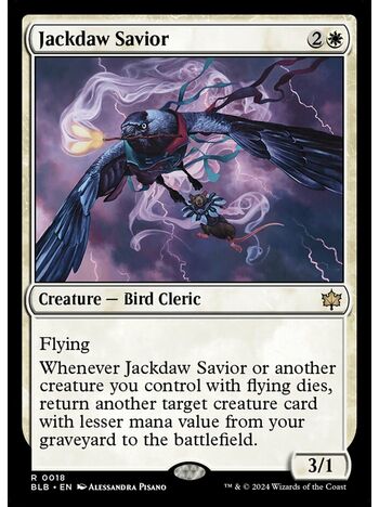 Jackdaw Savior