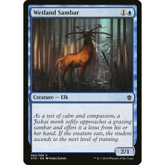 Wetland Sambar
