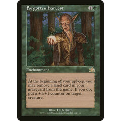 Forgotten Harvest