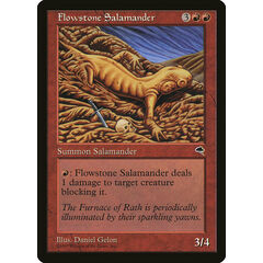 Flowstone Salamander