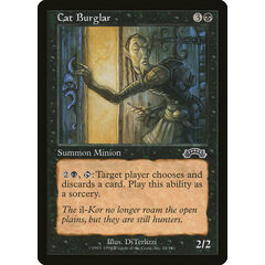 Cat Burglar
