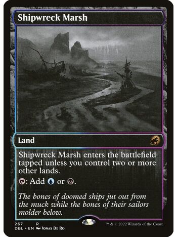 Shipwreck Marsh