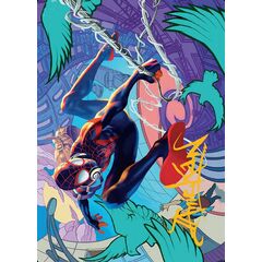 Spider-Man, Brooklyn Visionary // Spider-Man, Brooklyn Visionary (Art Series)