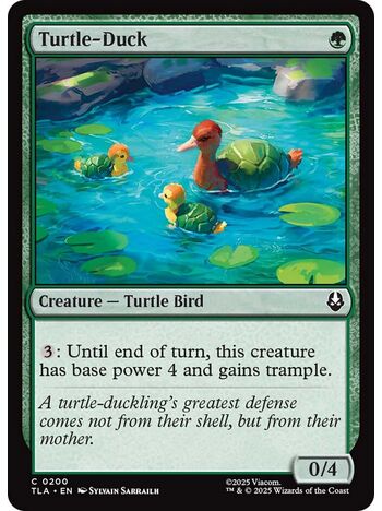 Turtle-Duck