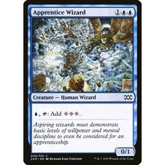 Apprentice Wizard