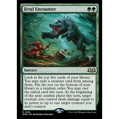 Feral Encounter