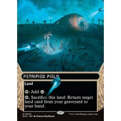 Petrified Field