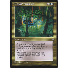 Flooded Woodlands