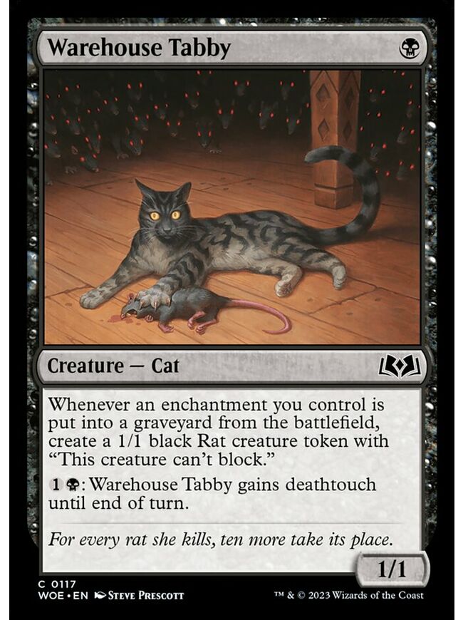 Warehouse Tabby