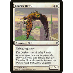 Courier Hawk
