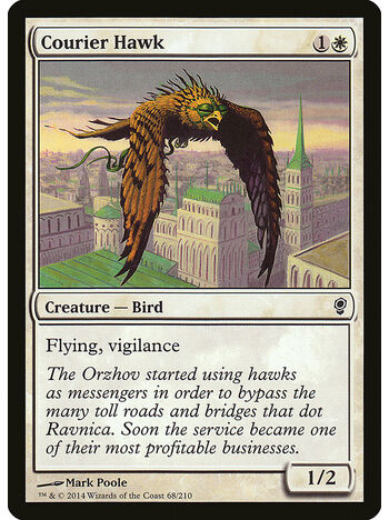 Courier Hawk