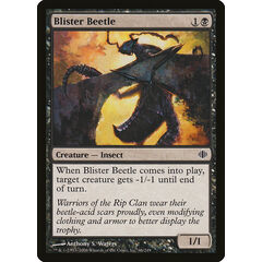 Blister Beetle