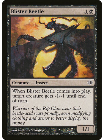 Blister Beetle