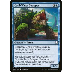 Cold-Water Snapper