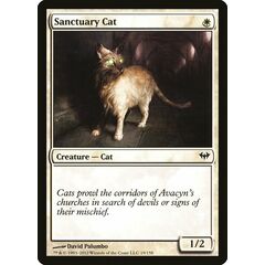 Sanctuary Cat