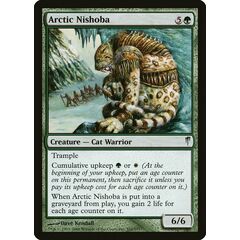 Arctic Nishoba