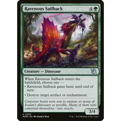 Ravenous Sailback