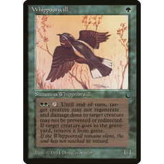 Whippoorwill