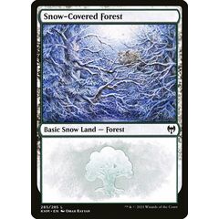 Snow-Covered Forest