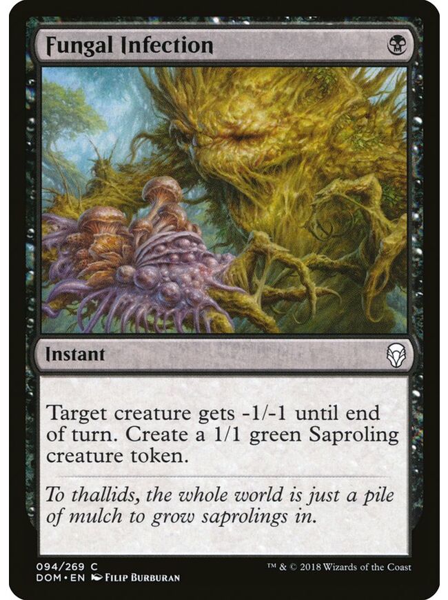 Fungal Infection