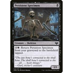 Persistent Specimen