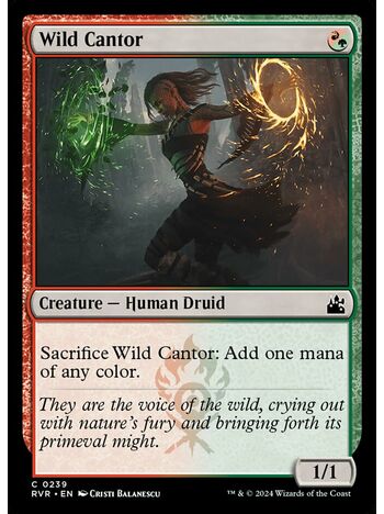 Wild Cantor