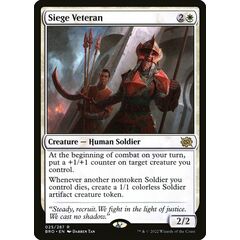 Siege Veteran