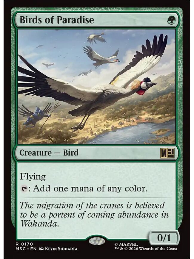 Birds of Paradise