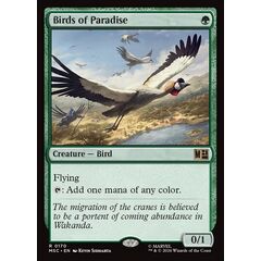 Birds of Paradise