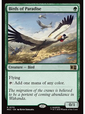 Birds of Paradise