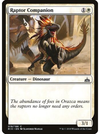 Raptor Companion