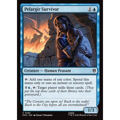 Pelargir Survivor