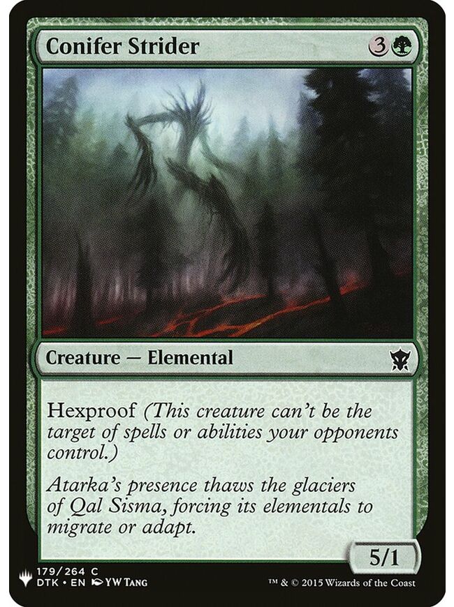 Conifer Strider