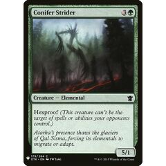 Conifer Strider